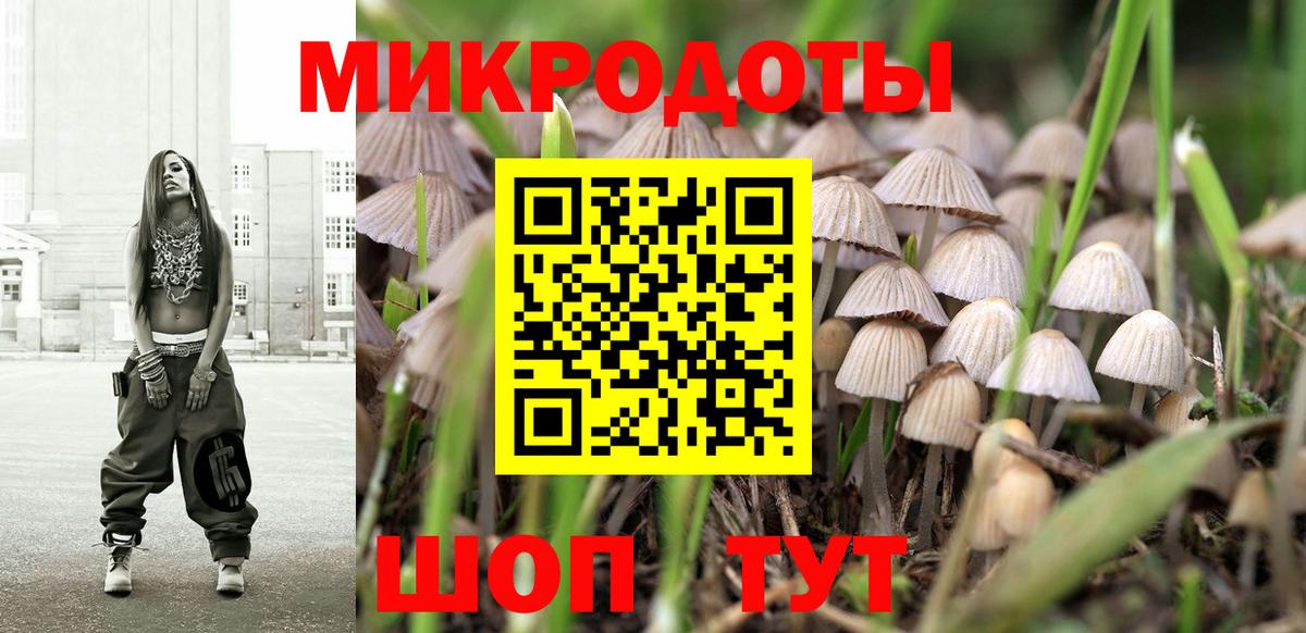 Галлюциногенные грибы GOLDEN TEACHER Сокол