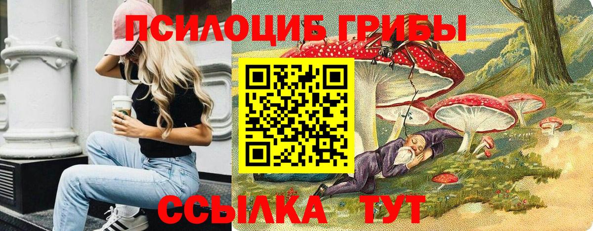 цены наркотик  Галлюциногенные грибы Magic Shrooms  Вход с VPN  Сокол 